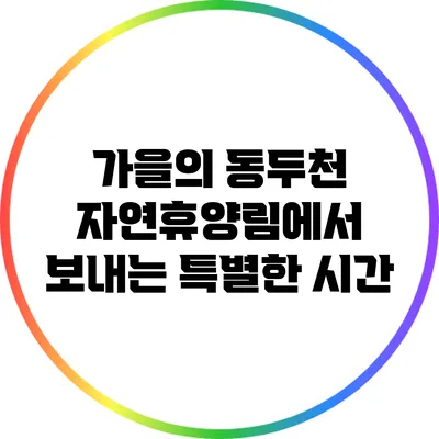 가을의 동두천 자연휴양림에서 보내는 특별한 시간