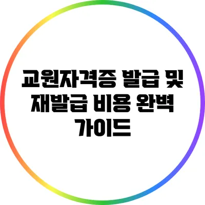 교원자격증 발급 및 재발급 비용 완벽 가이드