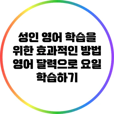 성인 영어 학습을 위한 효과적인 방법: 영어 달력으로 요일 학습하기