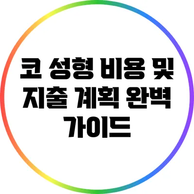코 성형 비용 및 지출 계획 완벽 가이드