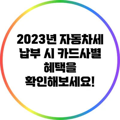 2023년 자동차세 납부 시 카드사별 혜택을 확인해보세요!