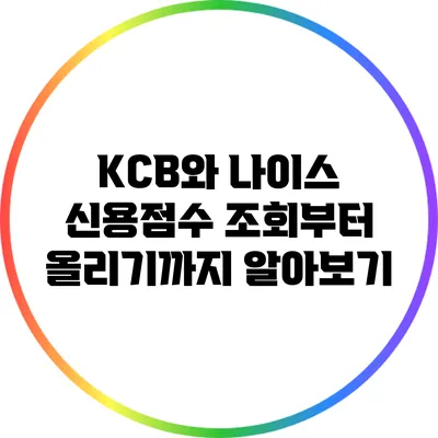 KCB와 나이스 신용점수: 조회부터 올리기까지 알아보기