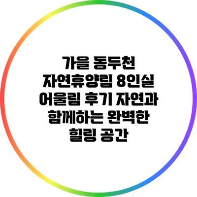 가을 동두천 자연휴양림 8인실 어울림 후기: 자연과 함께하는 완벽한 힐링 공간