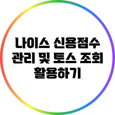 나이스 신용점수 관리 및 토스 조회 활용하기