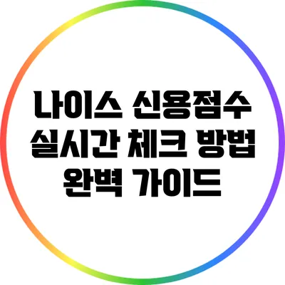 나이스 신용점수 실시간 체크 방법 완벽 가이드