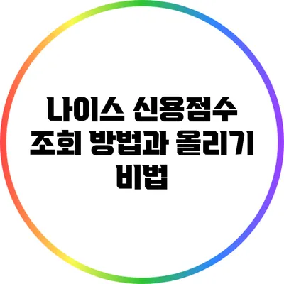 나이스 신용점수 조회 방법과 올리기 비법