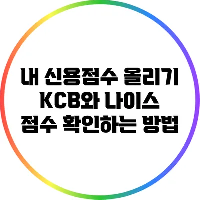 내 신용점수 올리기: KCB와 나이스 점수 확인하는 방법