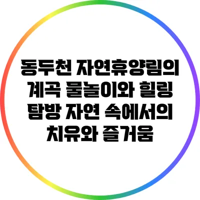 동두천 자연휴양림의 계곡 물놀이와 힐링 탐방: 자연 속에서의 치유와 즐거움