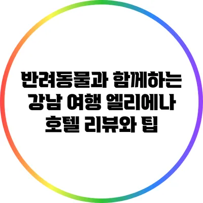 반려동물과 함께하는 강남 여행: 엘리에나 호텔 리뷰와 팁