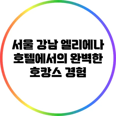 서울 강남 엘리에나 호텔에서의 완벽한 호캉스 경험