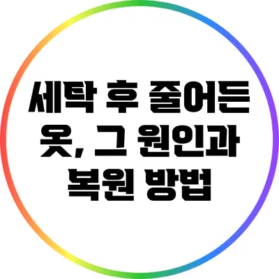 세탁 후 줄어든 옷, 그 원인과 복원 방법