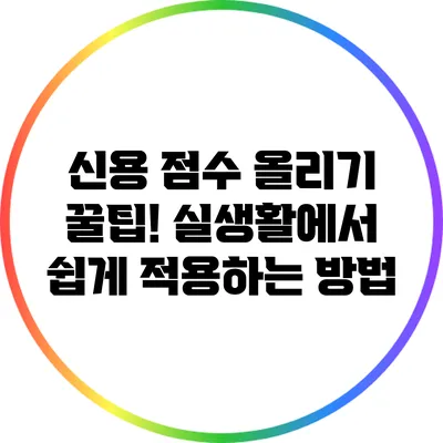 신용 점수 올리기 꿀팁! 실생활에서 쉽게 적용하는 방법