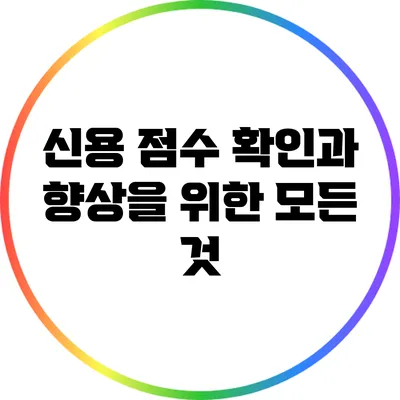 신용 점수 확인과 향상을 위한 모든 것