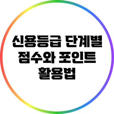 신용등급 단계별 점수와 포인트 활용법