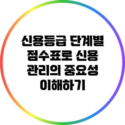 신용등급 단계별 점수표로 신용 관리의 중요성 이해하기