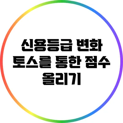 신용등급 변화: 토스를 통한 점수 올리기