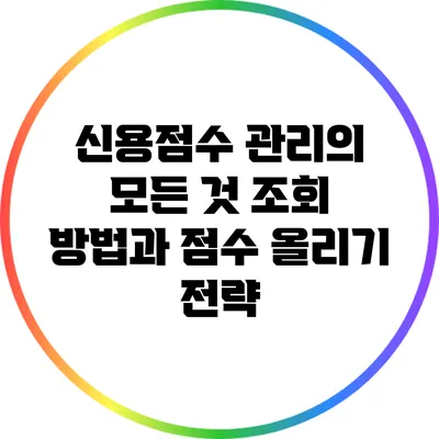 신용점수 관리의 모든 것: 조회 방법과 점수 올리기 전략