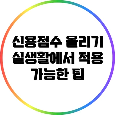 신용점수 올리기: 실생활에서 적용 가능한 팁