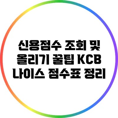 신용점수 조회 및 올리기 꿀팁: KCB 나이스 점수표 정리