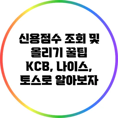 신용점수 조회 및 올리기 꿀팁: KCB, 나이스, 토스로 알아보자