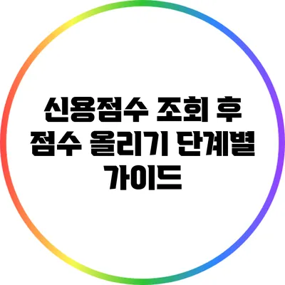 신용점수 조회 후 점수 올리기: 단계별 가이드