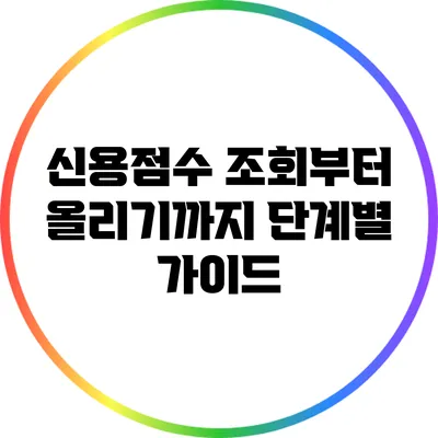 신용점수 조회부터 올리기까지: 단계별 가이드