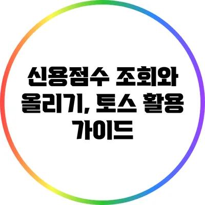 신용점수 조회와 올리기, 토스 활용 가이드