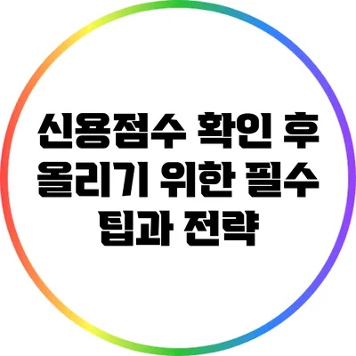 신용점수 확인 후 올리기 위한 필수 팁과 전략