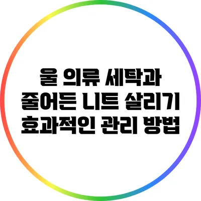 울 의류 세탁과 줄어든 니트 살리기: 효과적인 관리 방법