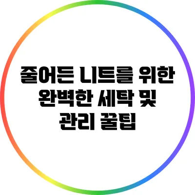 줄어든 니트를 위한 완벽한 세탁 및 관리 꿀팁