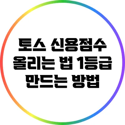 토스 신용점수 올리는 법: 1등급 만드는 방법