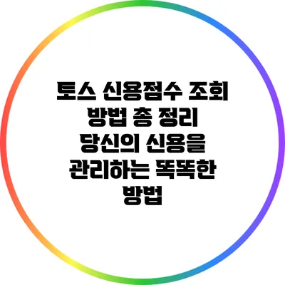 토스 신용점수 조회 방법 총 정리: 당신의 신용을 관리하는 똑똑한 방법