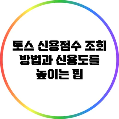 토스 신용점수 조회 방법과 신용도를 높이는 팁