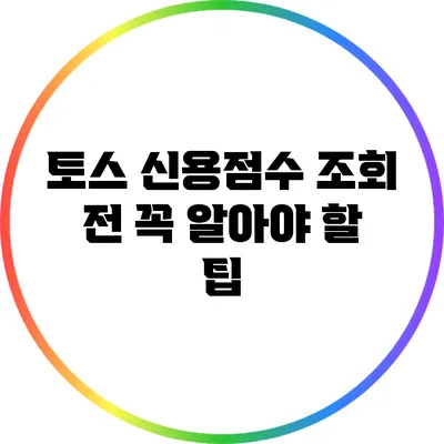 토스 신용점수 조회 전 꼭 알아야 할 팁