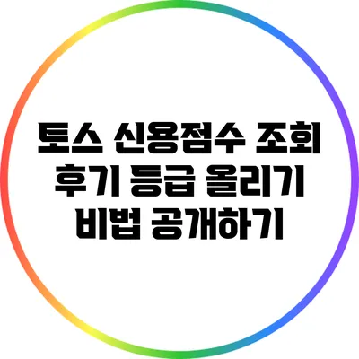 토스 신용점수 조회 후기: 등급 올리기 비법 공개하기