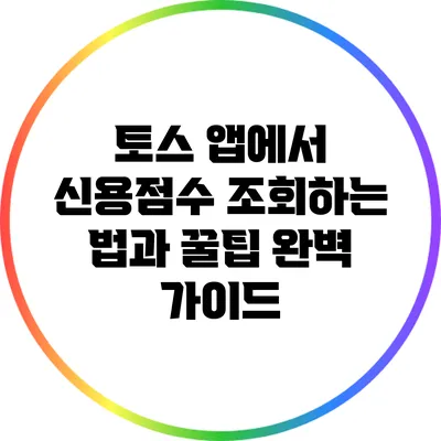 토스 앱에서 신용점수 조회하는 법과 꿀팁 완벽 가이드