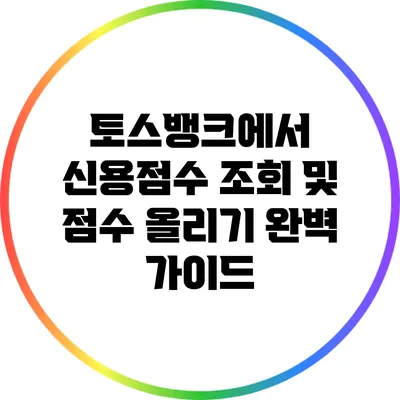 토스뱅크에서 신용점수 조회 및 점수 올리기 완벽 가이드