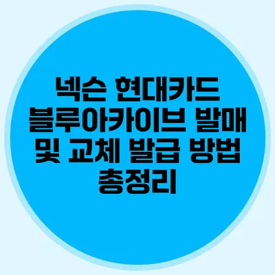 넥슨 현대카드 블루아카이브 발매 및 교체 발급 방법 총정리