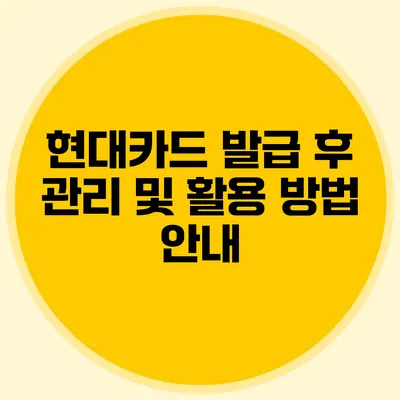 현대카드 발급 후 관리 및 활용 방법 안내