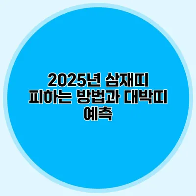 2025년 삼재띠 피하는 방법과 대박띠 예측