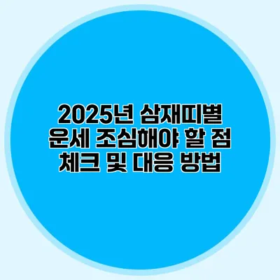 2025년 삼재띠별 운세 조심해야 할 점 체크 및 대응 방법