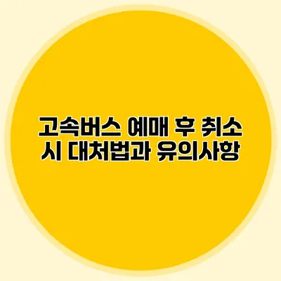 고속버스 예매 후 취소 시 대처법과 유의사항