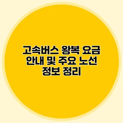 고속버스 왕복 요금 안내 및 주요 노선 정보 정리