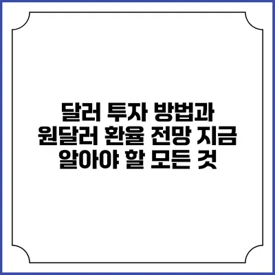 달러 투자 방법과 원달러 환율 전망: 지금 알아야 할 모든 것