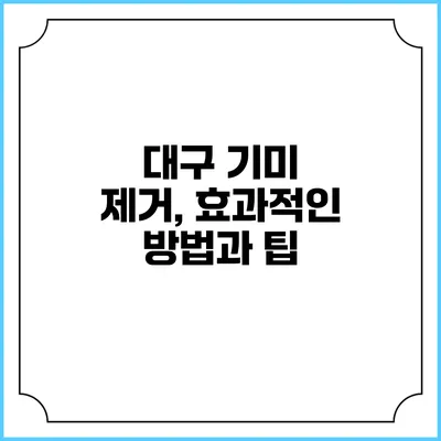 대구 기미 제거, 효과적인 방법과 팁