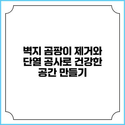 벽지 곰팡이 제거와 단열 공사로 건강한 공간 만들기
