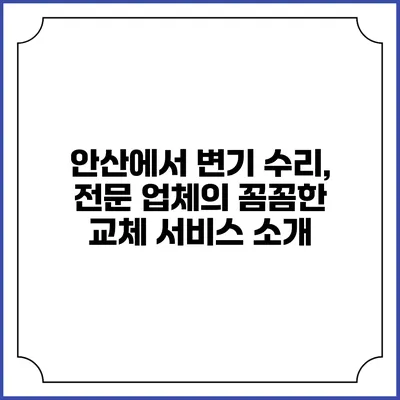 안산에서 변기 수리, 전문 업체의 꼼꼼한 교체 서비스 소개