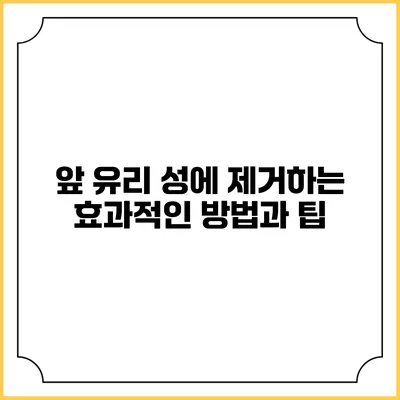 앞 유리 성에 제거하는 효과적인 방법과 팁