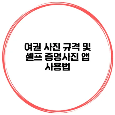 여권 사진 규격 및 셀프 증명사진 앱 사용법