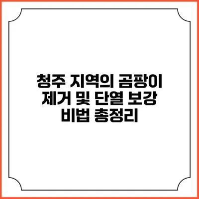 청주 지역의 곰팡이 제거 및 단열 보강 비법 총정리